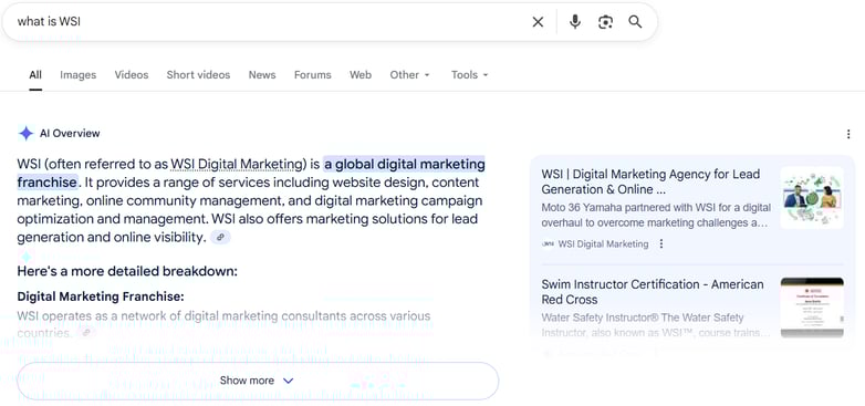 Example of Google search displaying AI overview on SEO with WSI digital marketing description.